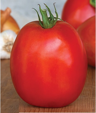 SuperSauce Hybrid Tomato